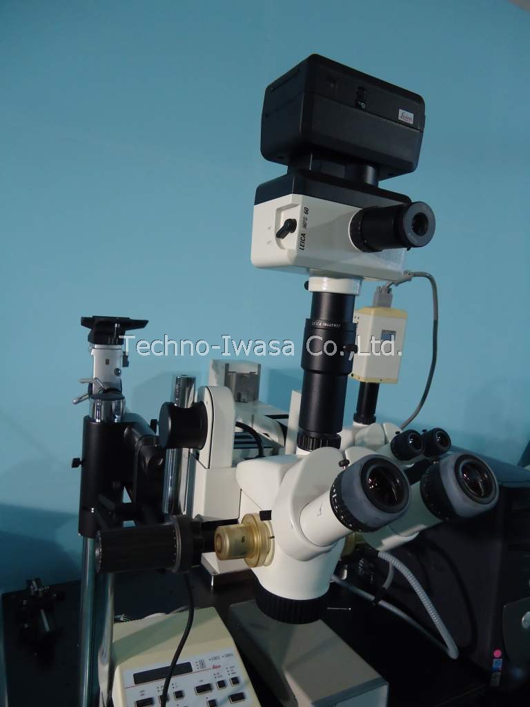 ���̌�����